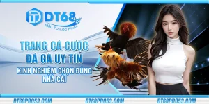 Trang cá cược đá gà uy tín - Kinh nghiệm chọn đúng nhà cái
