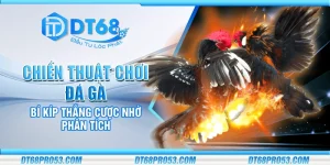 Chiến thuật chơi đá gà - Bí kíp thắng cược nhờ phân tích